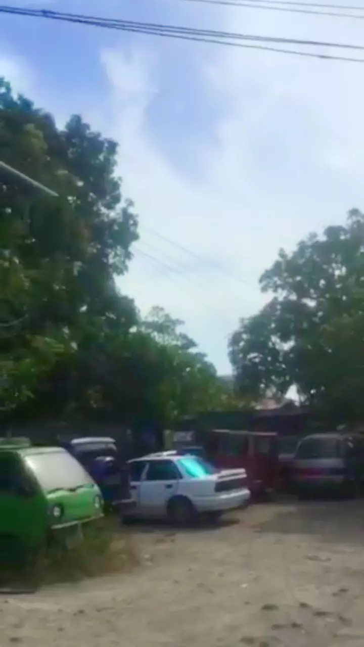 OSMEÃ‘A COMMERCIAL LOT FOR SALE - photo 5