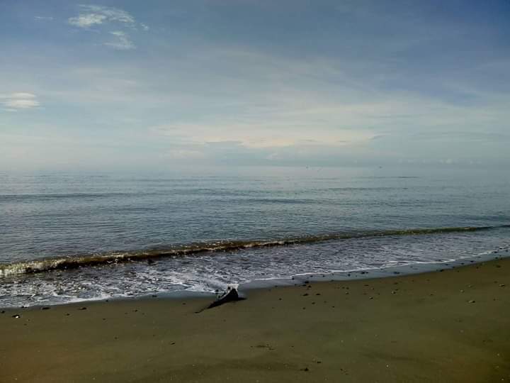 For sale beach Lot in Sarangani — Beach Lot in Sarangani, Philippines — Photo 3