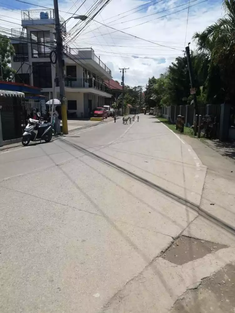 FOR SALE : 1500 SQUARE METER LOT IN MARIGONDON LAPU LAPU CITY — Agricultural Lot in Cebu, Philippines — Photo 4