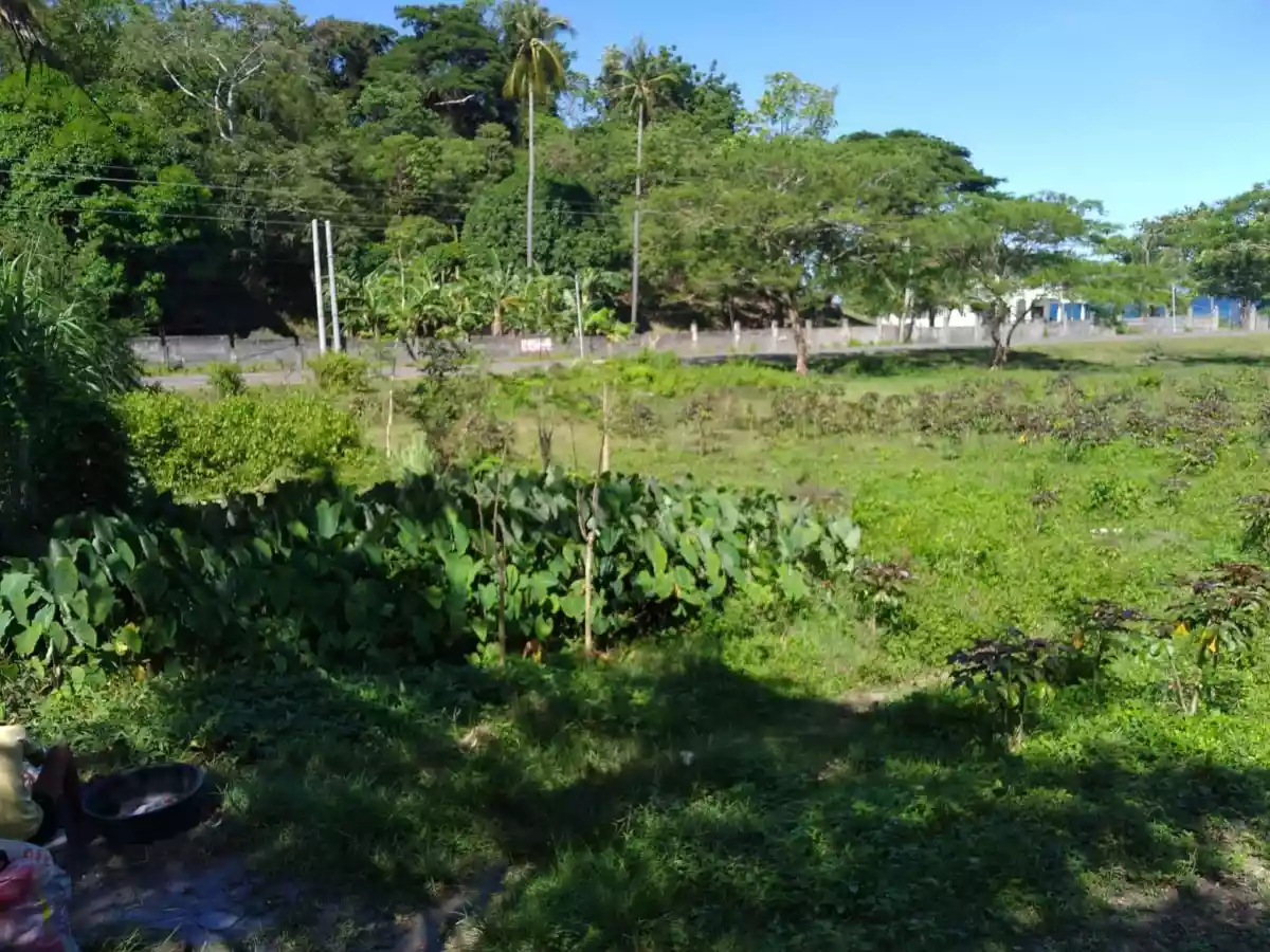 Original Certificate of Title  - photo 7