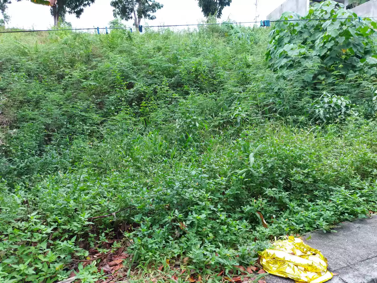 Lot for sale - photo 5