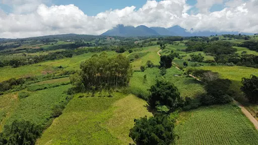 1.4 Hectare Farm Lot for Sale in Malaybalay city, Bukidnon — Agricultural Lot in Malaybalay, Bukidnon, Philippines — Photo 3