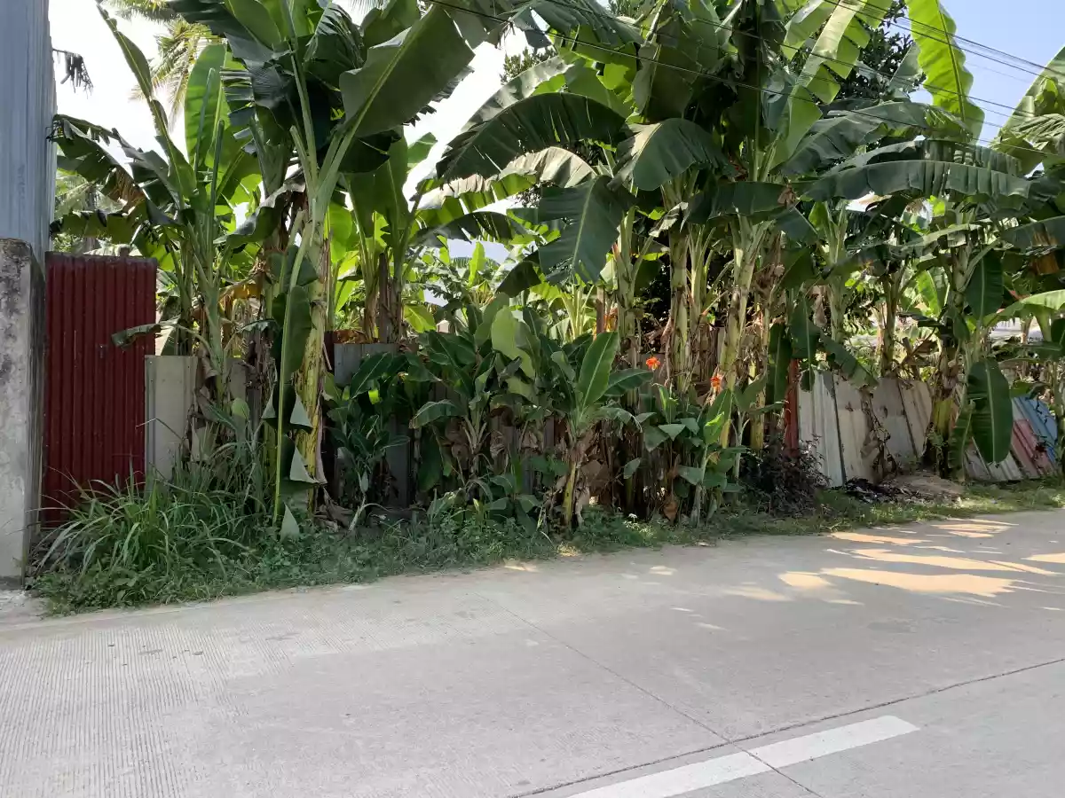 Lot in Sambag San Vicente Liloan