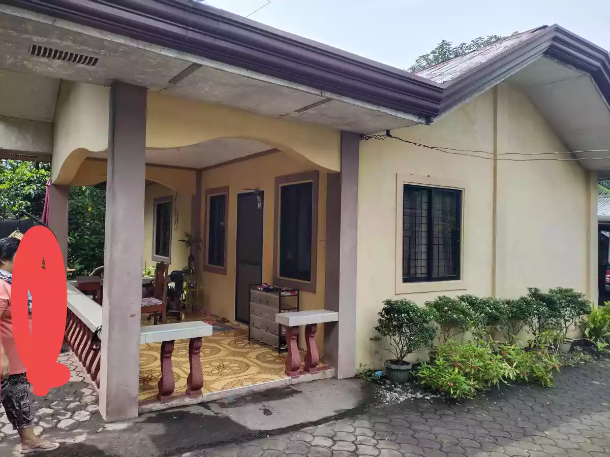 Bigger space with 3 houses 