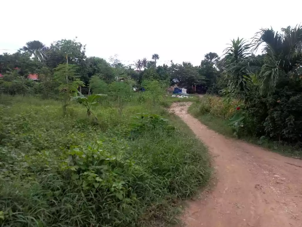 Yes,  Titled lot - photo 3