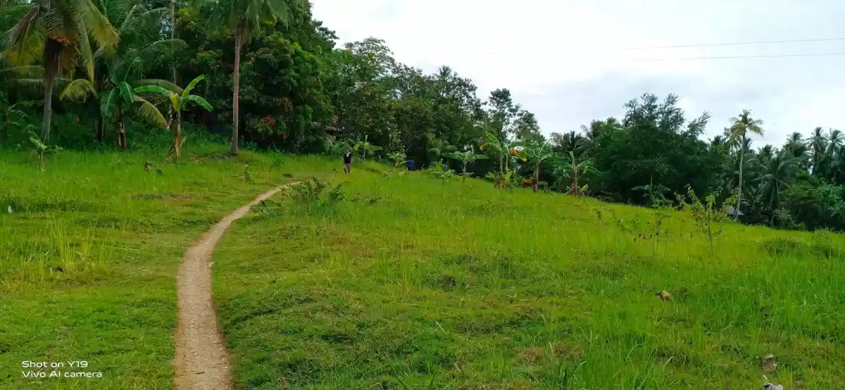 FOR SALE : 28, 301 SQM LOT IN BARILI, CEBU - photo 6