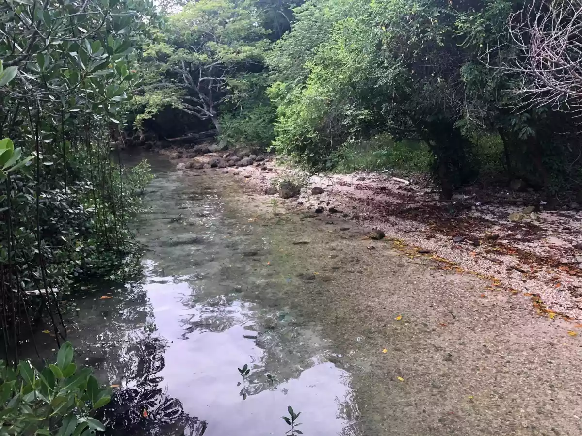 Beach Lot Property for Sale