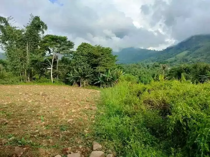 7,400 sqm Lot for Sale in Mat-i, Claveria, Misamis Oriental - photo 3