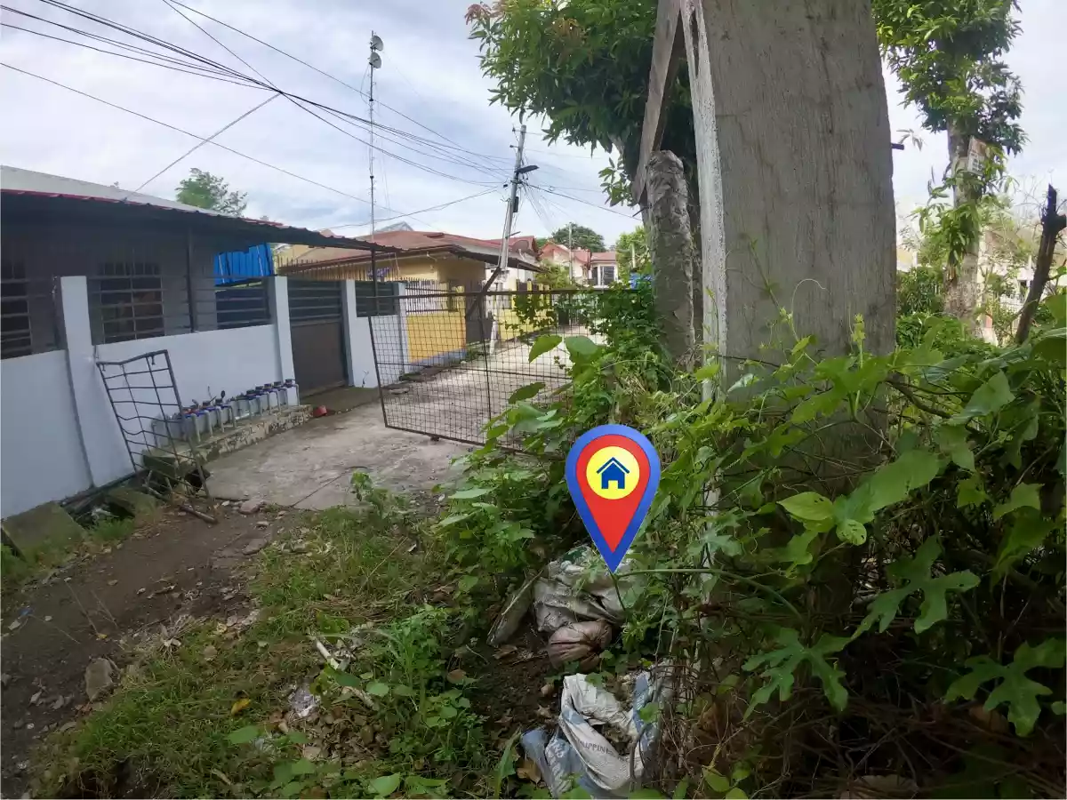 Commercial / Residential Dual Corner Lot For Sale Along Concrete Road at Junob, Dumaguete City — Residential Lot in Dumaguete, Negros Oriental, Philippines — Photo 5