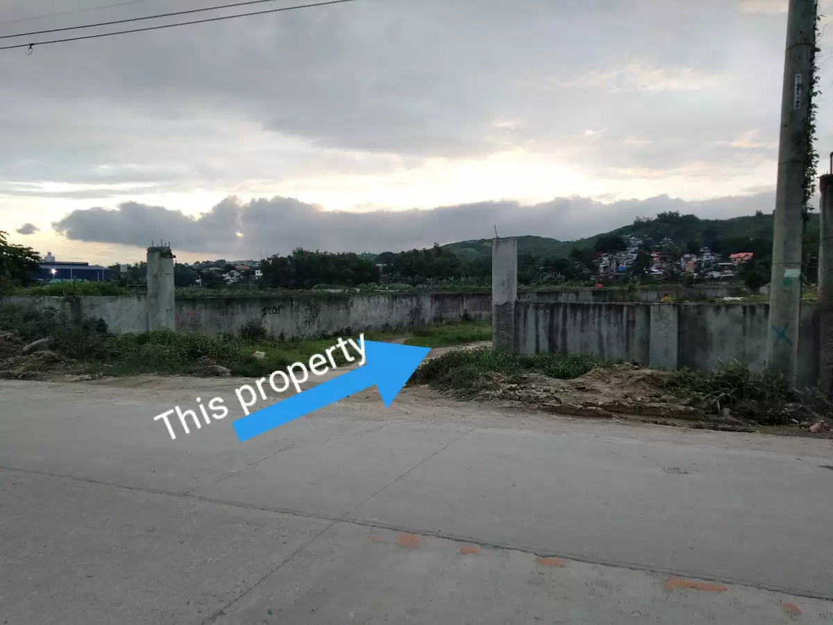 Industrial Lot For Sale - photo 2