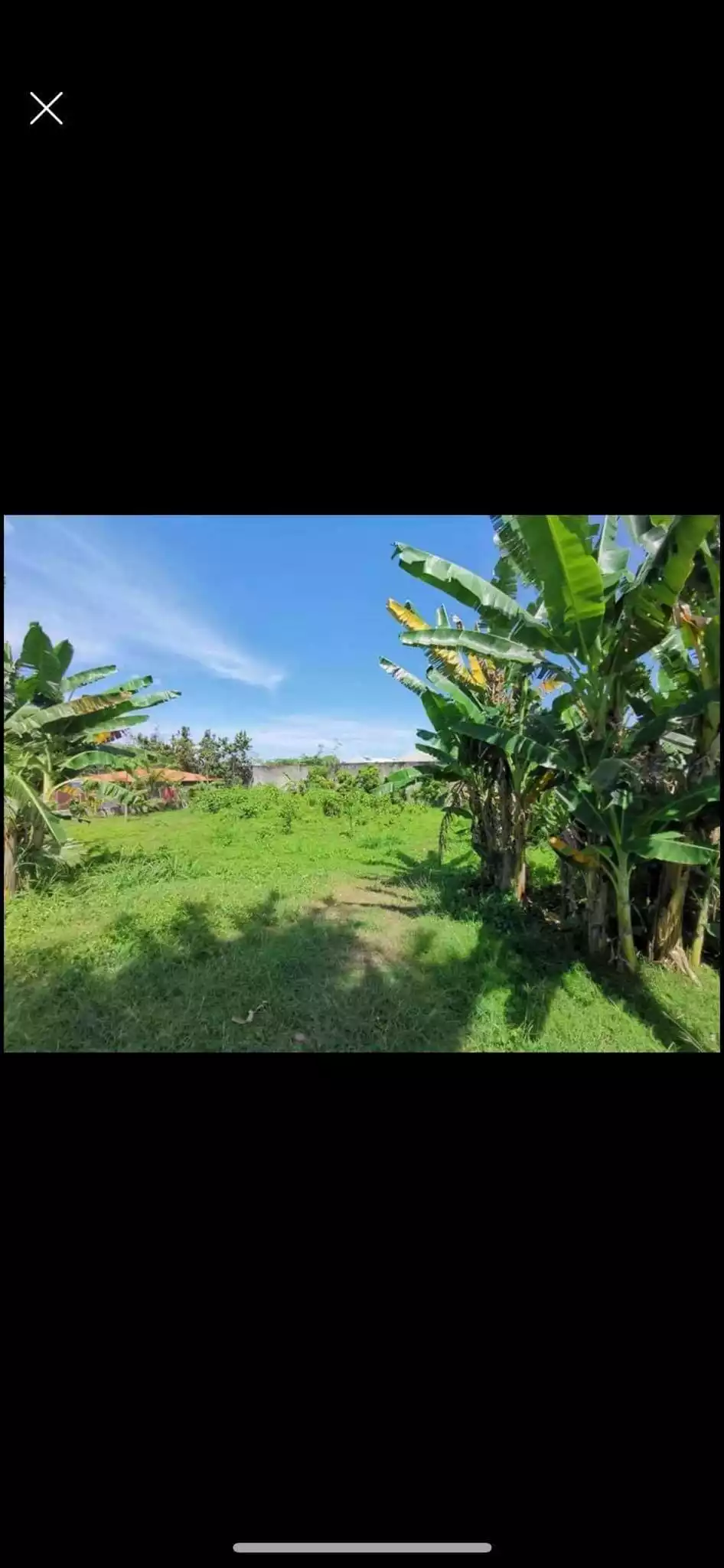 Lot for Rent - photo 4