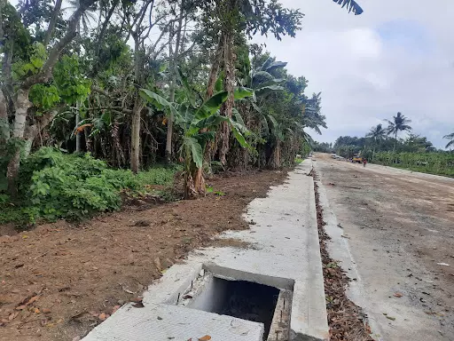 Sta.Veronica, San Pablo City, Laguna — Agricultural Lot in San Pablo City, Laguna, Philippines — Photo 4