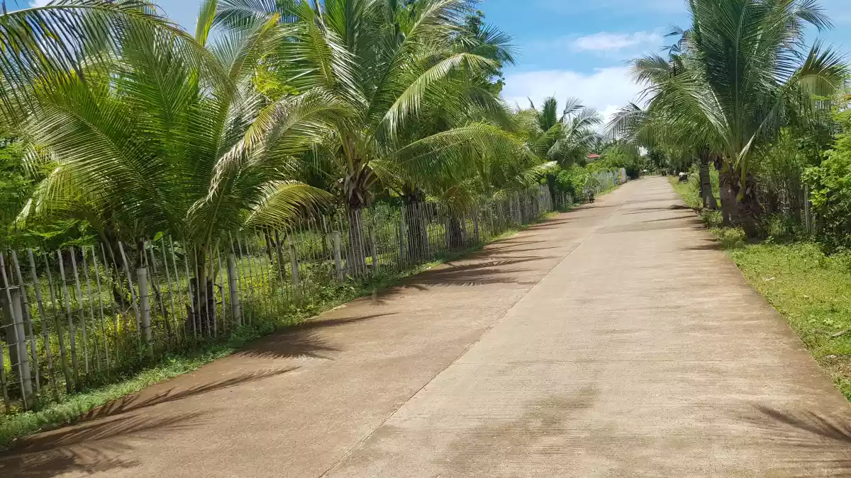 Title — Residential Lot in Maribago, Lapu-Lapu City, Lalawigan ng Cebu — Photo 3