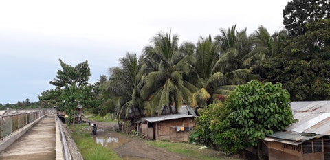 Bulua Industrial lot for sale - photo 6