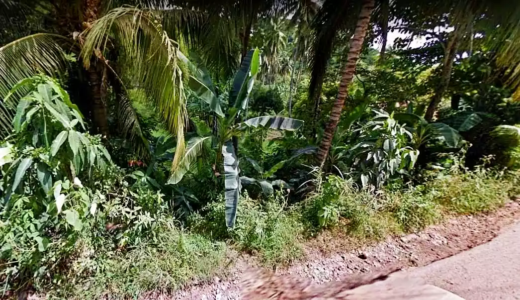 Industrial lot - photo 3