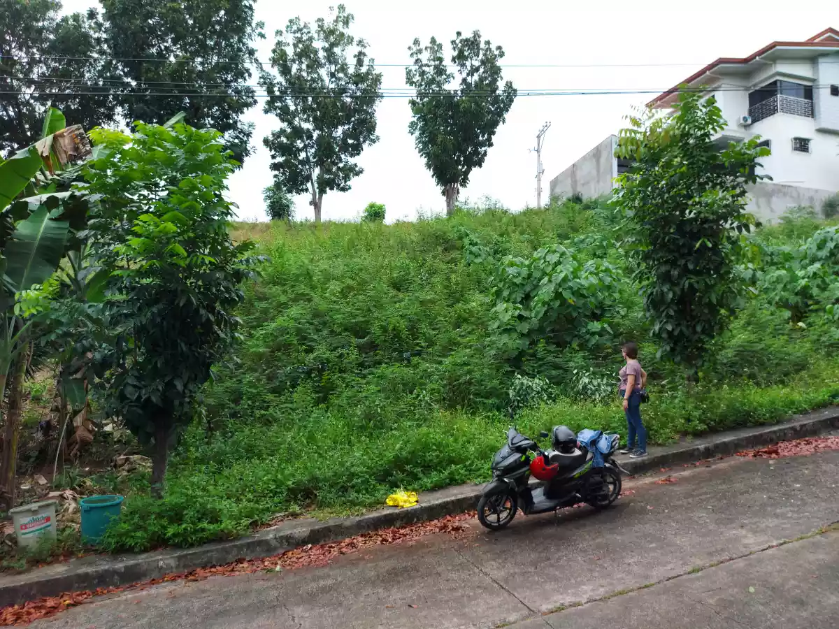 Lot for sale