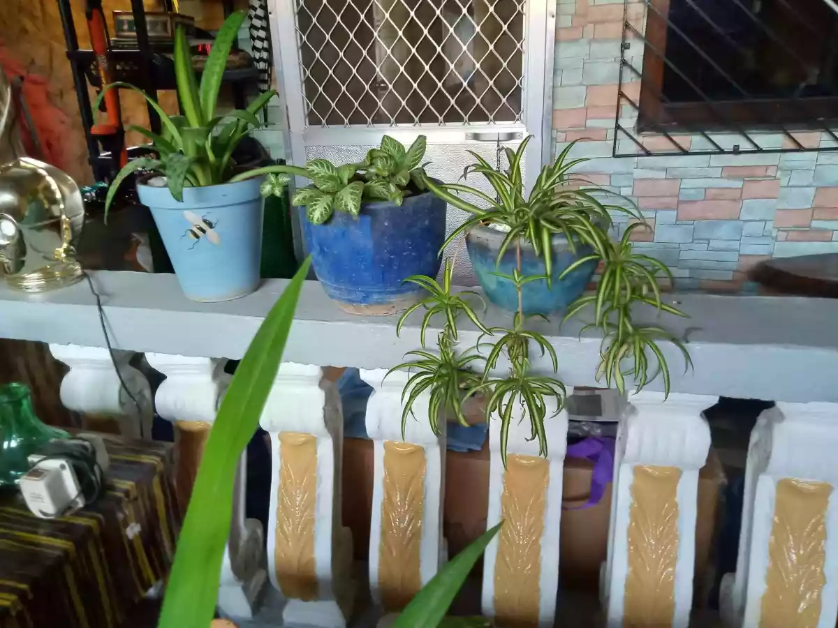 SEMI-FURNISHED HOUSE AND LOT IN BLISS LABANGON — House and Lot in Cebu City, Cebu, Philippines — Photo 4