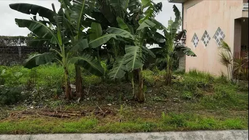 LOT FOR SALE!! — Residential Lot in Lapu-Lapu City, Cebu, Philippines — Photo 2