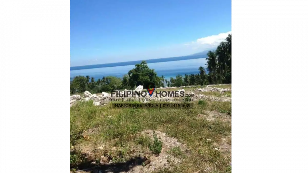 GLAN BEACH LOT FOR SALE — Beach Lot in Glan, Sarangani, Philippines — Photo 3