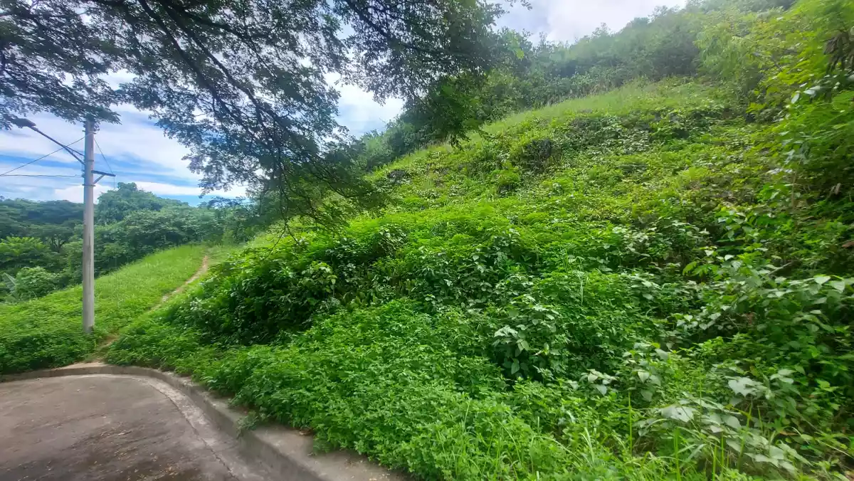 Residential Lots Adjascent for Sale in Aspen Heights Consolacion, Cebu — Residential Lot in Consolacion, Cebu, Philippines — Photo 7
