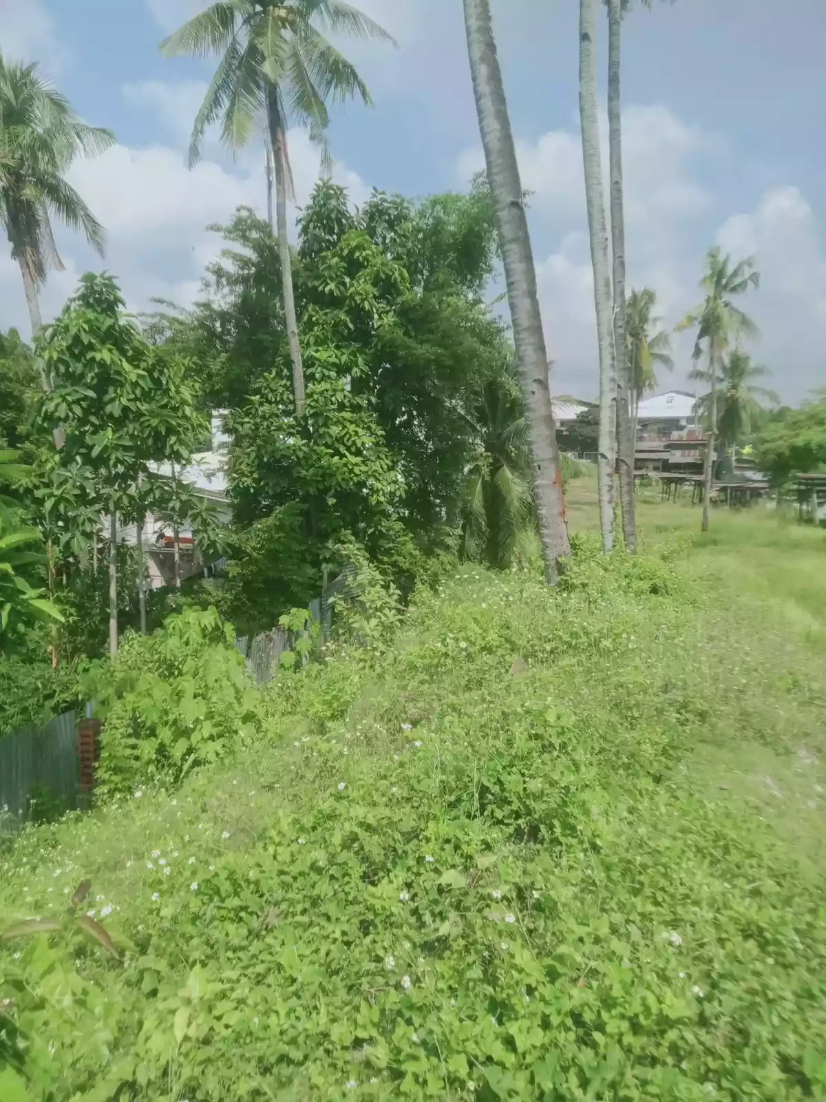 Commercial Lot - Jagobiao Mandaue City, Cebu - photo 4