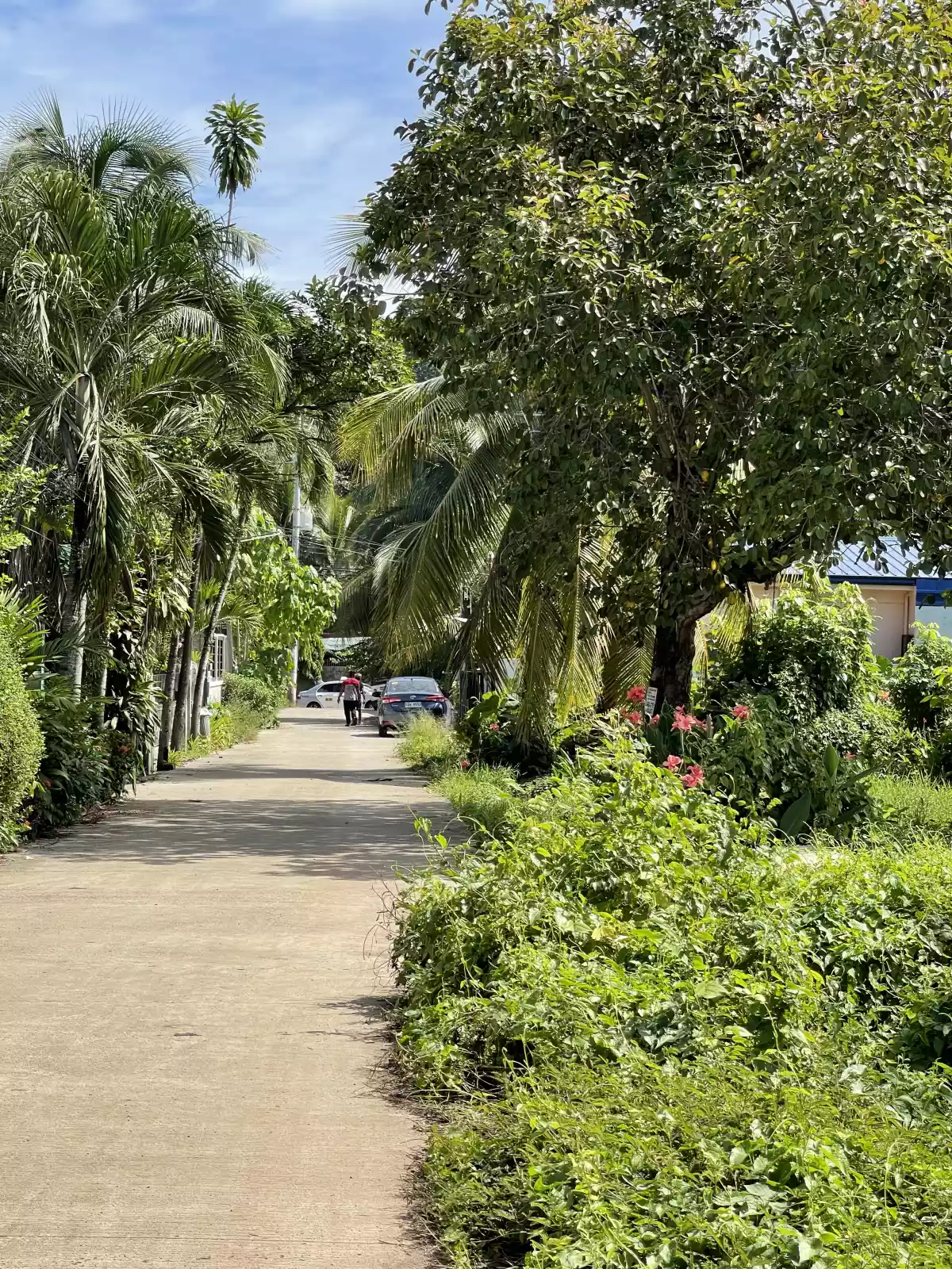 LOT FOR SALE at Aluba, CDO - photo 5