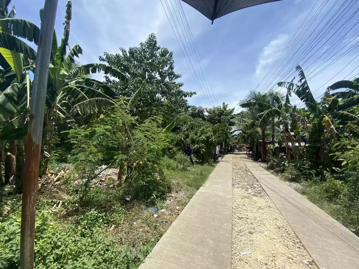 Alegria Cordova Lot for Sale — Residential Lot in Cordova, Cebu, Philippines — Photo 4