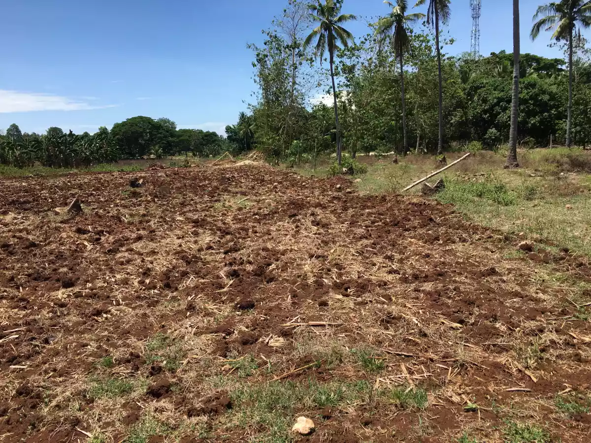 Cogon, Elsalvador — Residential Lot in Misamis Oriental, Philippines — Photo 2