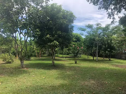 Open photo 26 of 34 — Beachfront House and Lot for Sale