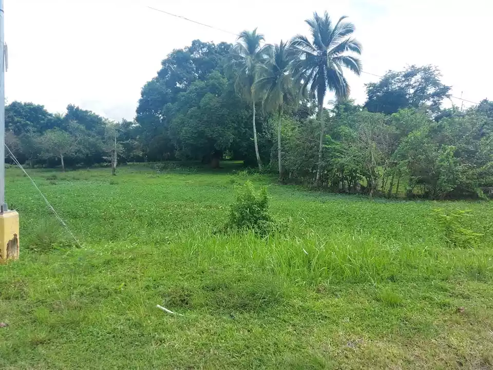 Lot For Sale