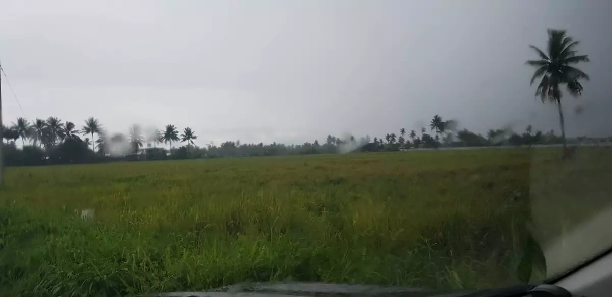 RUSH SALE! 5.178 Hectare Lot in Baluan, General Santos City for ONLY P15M per hectare. STILL NEGOTIABLE. — Agricultural Lot in General Santos City, South Cotabato, Philippines — Photo 6