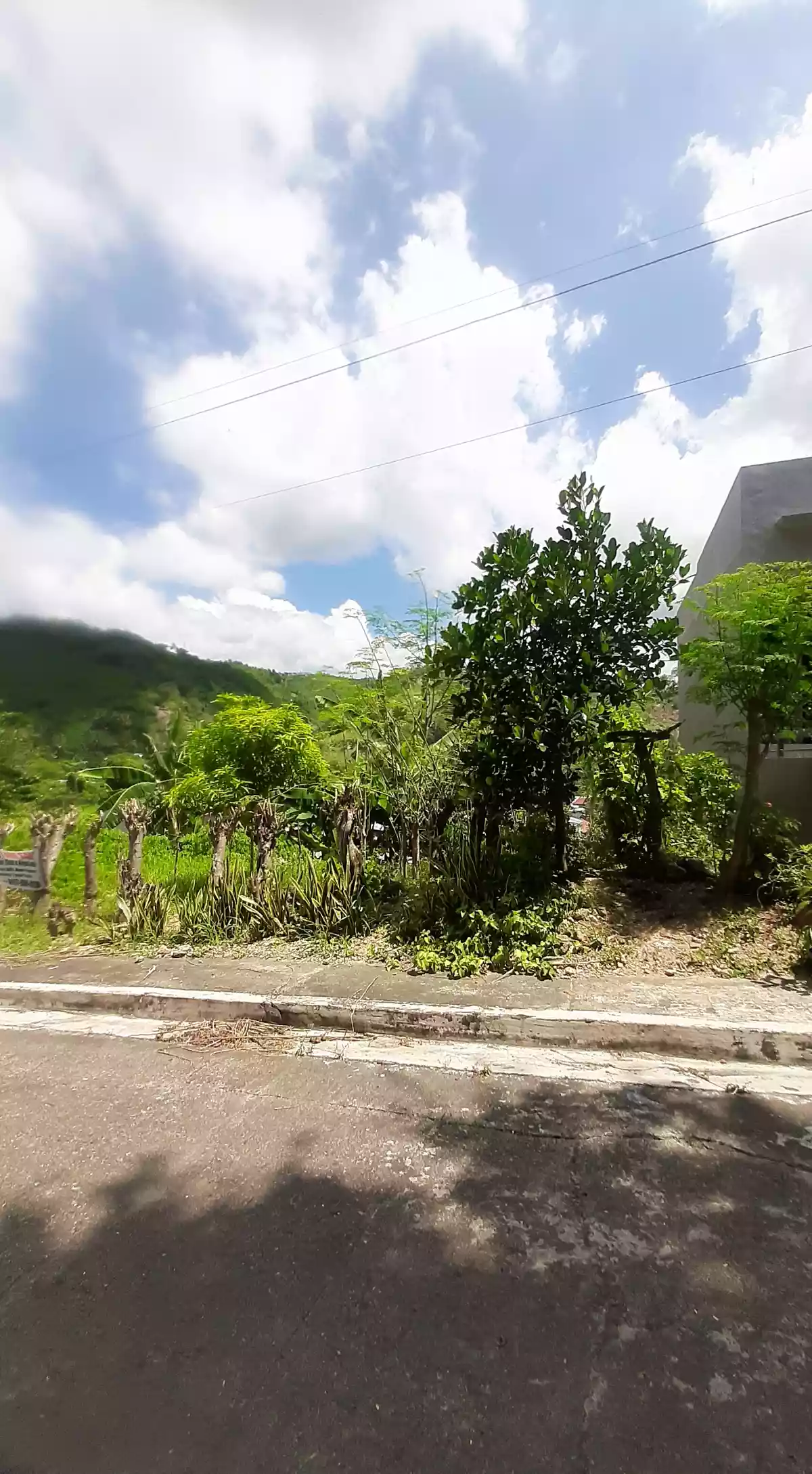 Lot For Saleâ€¼ - photo 3