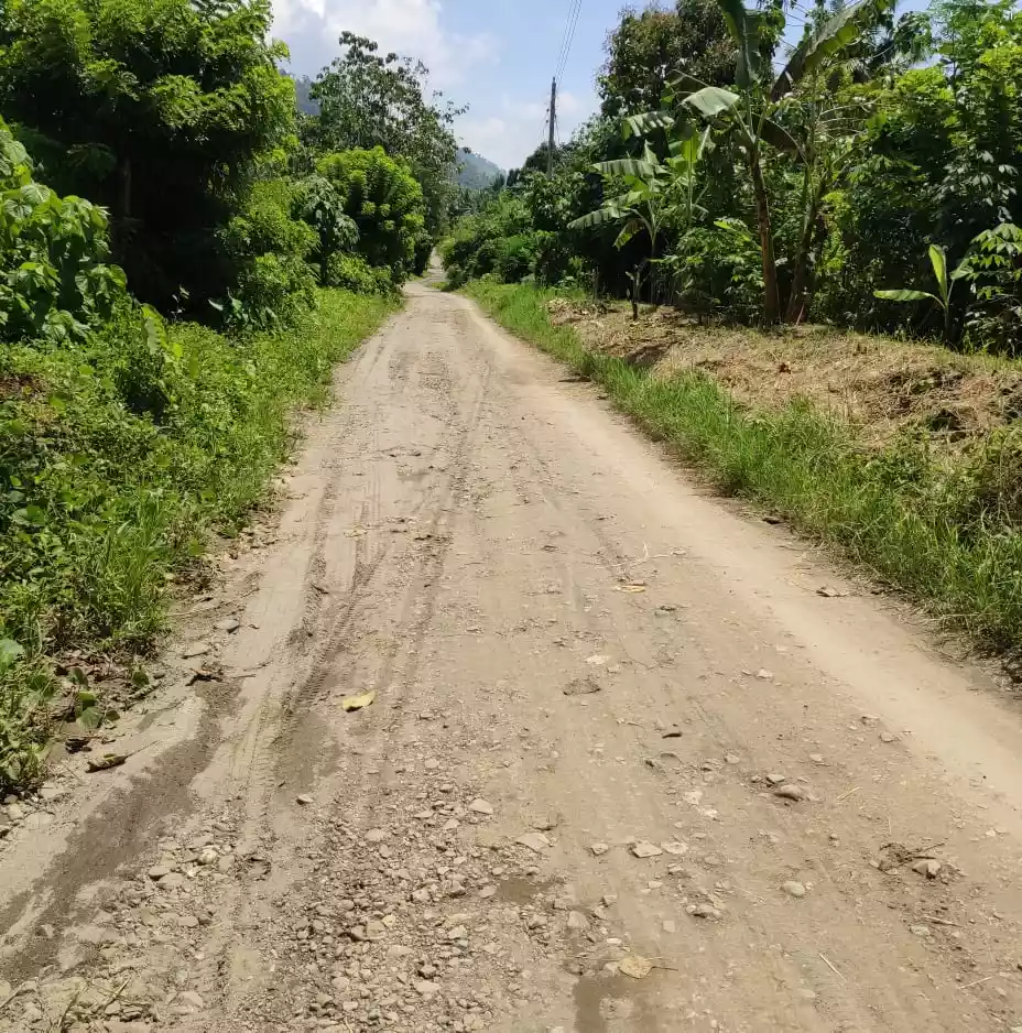 15.8 Hectares for sale - photo 6