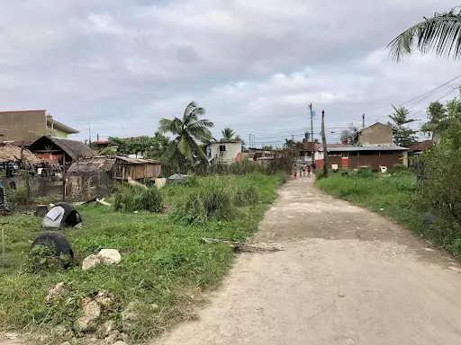 Lot for Sale in Looc Danao City — Agricultural Lot in Highway, Danao City, Cebu — Photo 6