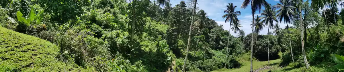 BARAAS ILIGAN CITY-AGRI LOT FOR DEVELOPERS — Agricultural Lot in Iligan City, Lanao del Norte, Philippines — Photo 5