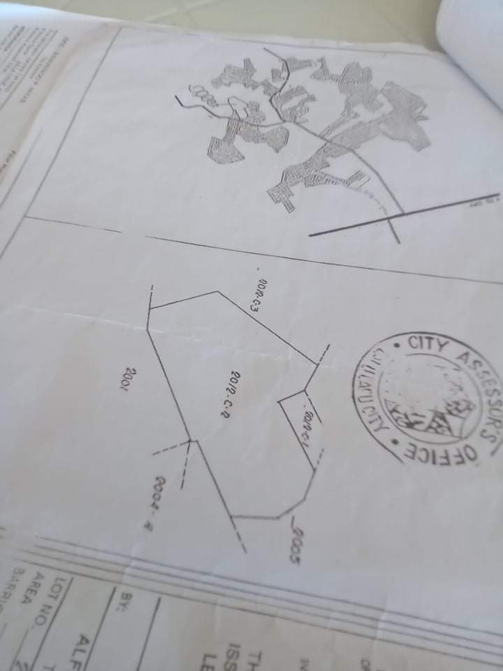 Affordable lot for sale - photo 6