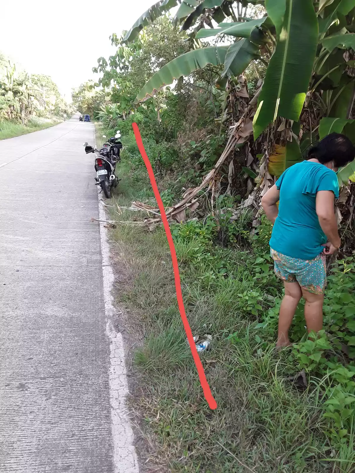 Lot for sale - photo 2