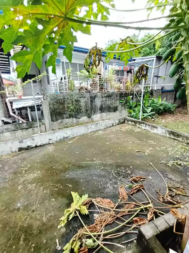FOR SALE 962 SQM LOT WITH BOARDING HOUSE NEAR DAVAO DOCTORS HOSPITAL - photo 7