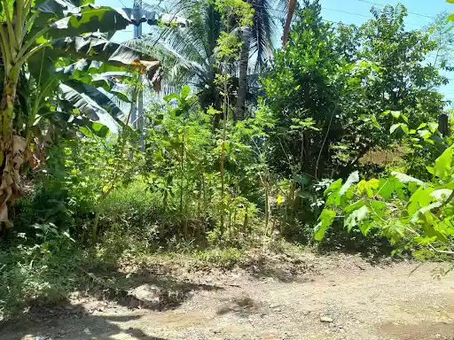 Residential Lot for Sale in Cagayan de Oro, Misamis Oriental — Residential Lot in Bulao Bridge, Cagayan de Oro, Misamis Oriental — Photo 3