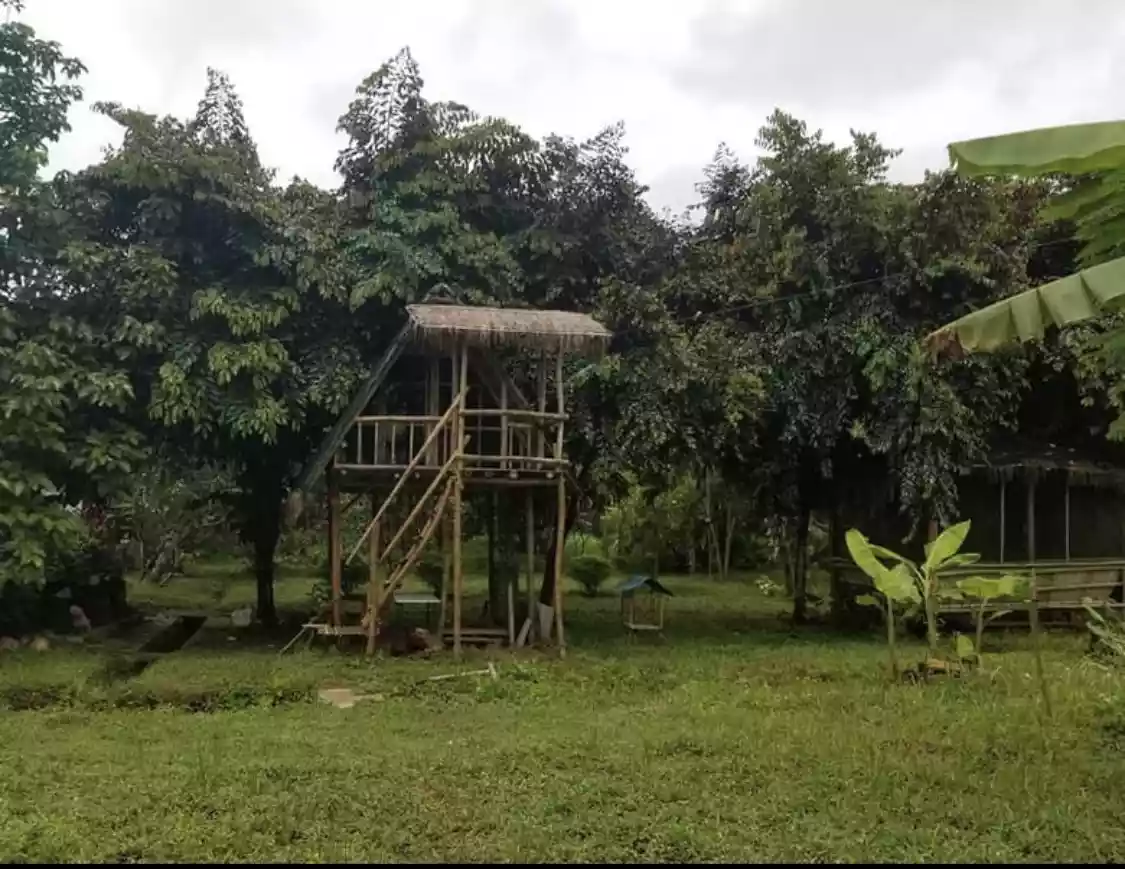 Balamban farmlot - photo 3