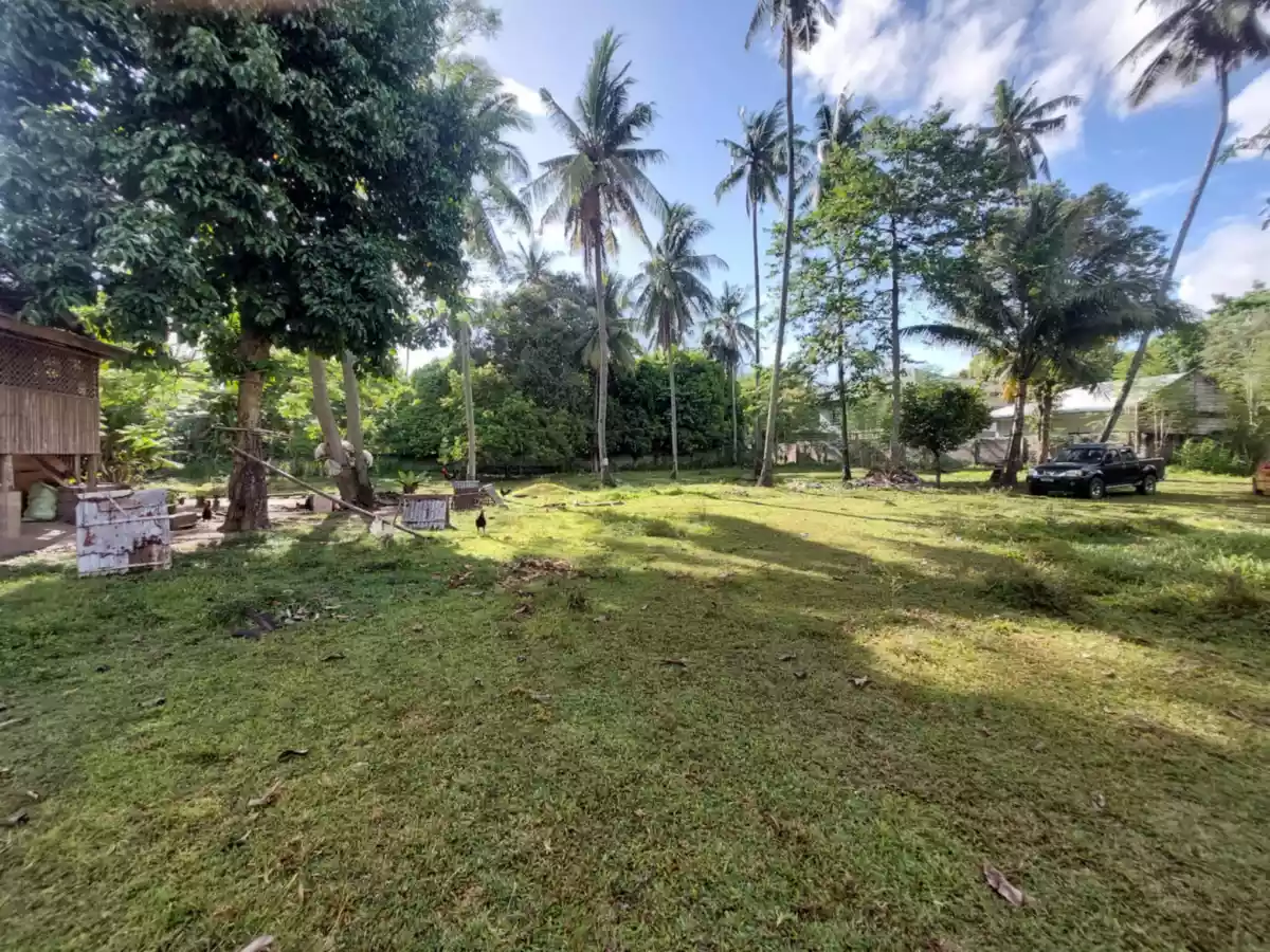 Open photo 21 of 26 — Farm Lot Convertible to Residential