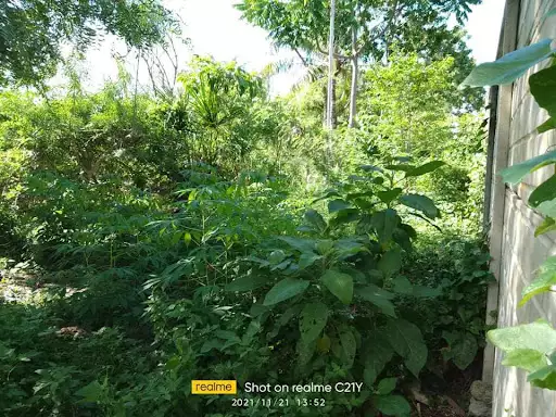 COMMERCIAL LOT FOR SALE — Commercial Lot in Lapu-Lapu City, Cebu, Philippines — Photo 5