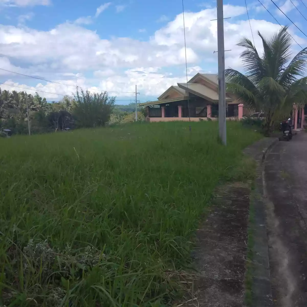 269sqm lot only for sale inside san josemaria village toledo cebu  - photo 4