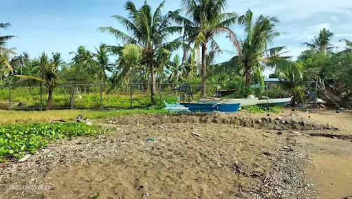 TCT — Beach Lot in Carcar City, Cebu, Philippines — Photo 7
