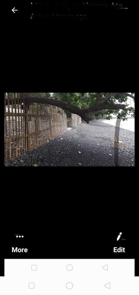 For Sale — Beach Lot in Southern Leyte, Philippines — Photo 3