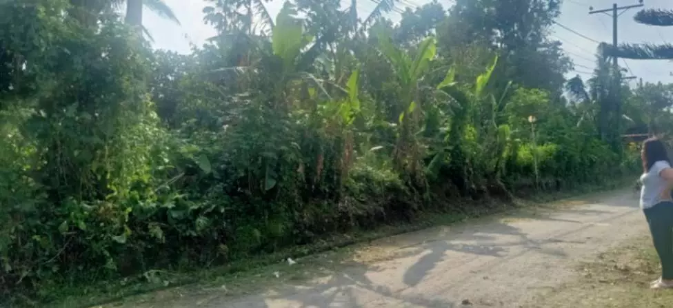 For Sale: 1,000sqm Lot in Buho Silang, Tagaytay Road – Near CALAX Exit — Residential Lot in Amadeo, Cavite, 4119 — Photo 5