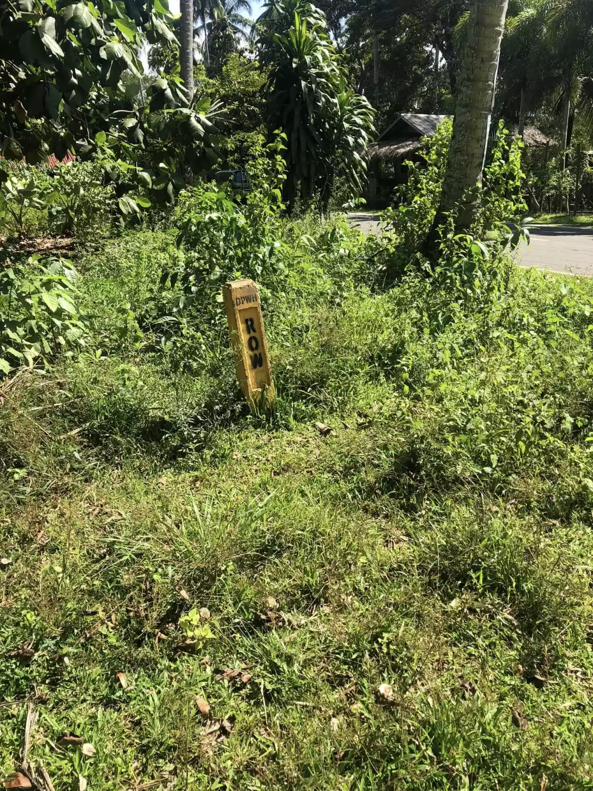 For Sale Agricultural Lot in Pualas, Tubod for farm investors — Agricultural Lot in Tubod, Lanao del Norte, 9209 — Photo 4