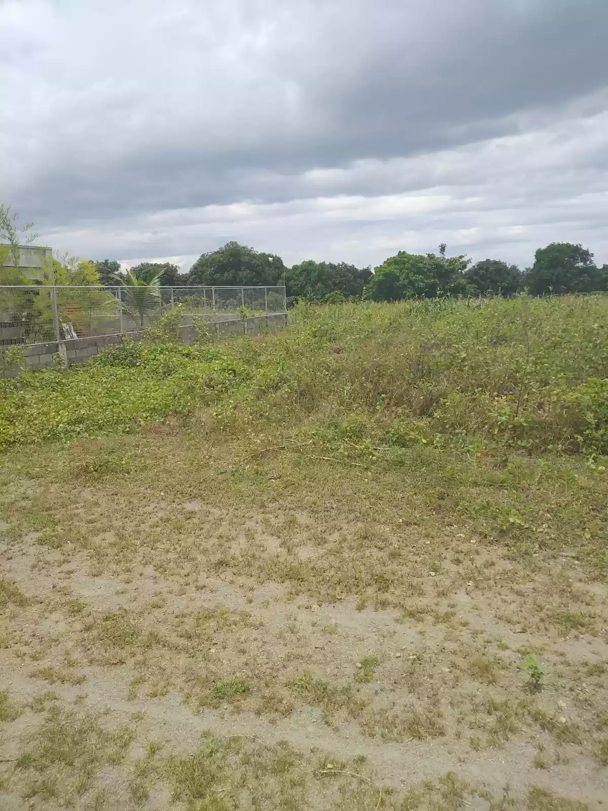 Lots for sale( 185 sq meters each) — Agricultural Lot in General Santos City, South Cotabato, Philippines — Photo 5