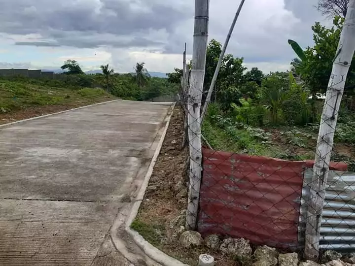 Residential Lot inside subdivision in La Vista Del Mar Liloan - photo 2