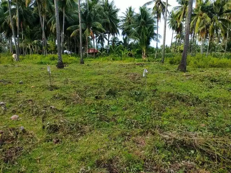 Residential in maayong tubig - photo 6